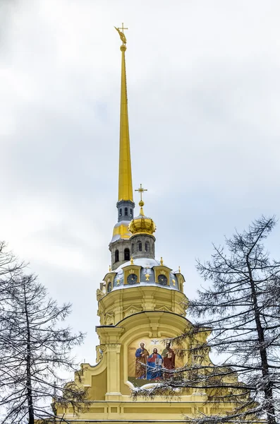 Vista sobre a Catedral de Pedro e Paulo no inverno — Fotografia de Stock