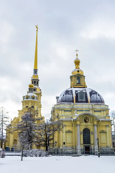 Zobrazit na Peter a Paul katedrála v zimě — Stock fotografie