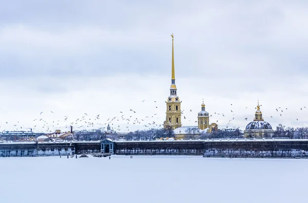 Вид на Петропавловскую крепость в Санкт-Петербурге — стоковое фото