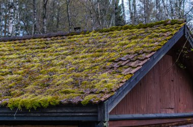 Çatı eski kırsal ev