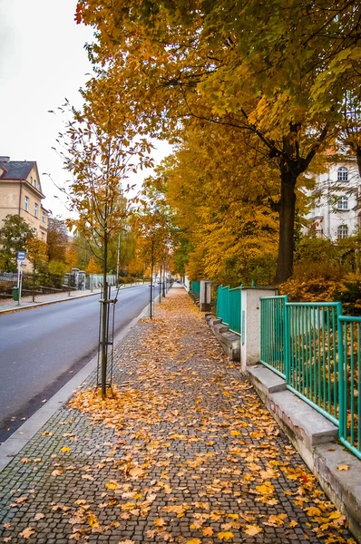 Street view in Karlovy Vary — Stock Fotó