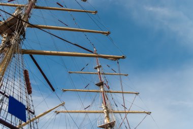 Yelkenli yarışı, saint-petersburg üzerinde