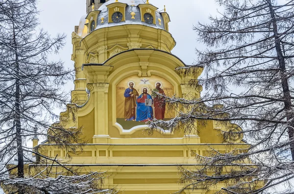 Peter ve Paul Katedrali kış görüntülemek — Stok fotoğraf