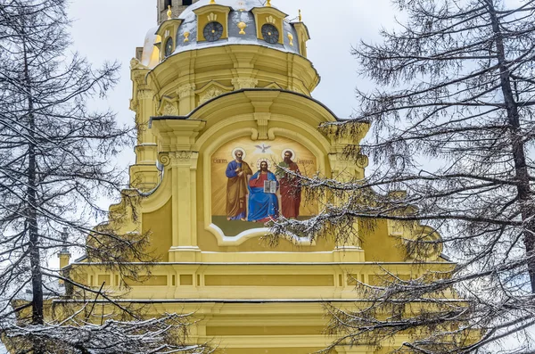 Вид на Петропавловский собор зимой — стоковое фото