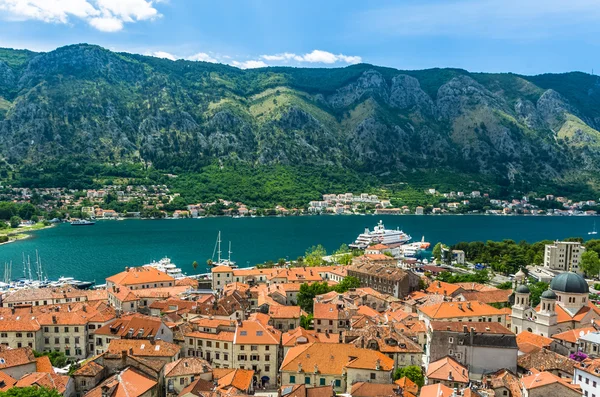 Pohled shora na město Kotor a bay — Stock fotografie