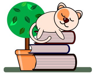 İlginç bir kedinin hayatı.