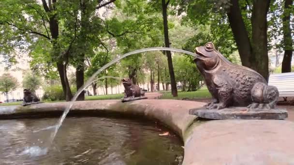 Die Teilansicht Eines Brunnens Ein Frosch Bläst Einen Wasserstrahl Den — Stockvideo