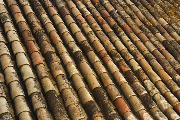 Antecedentes de telhas antigas cobertas por musgo — Fotografia de Stock