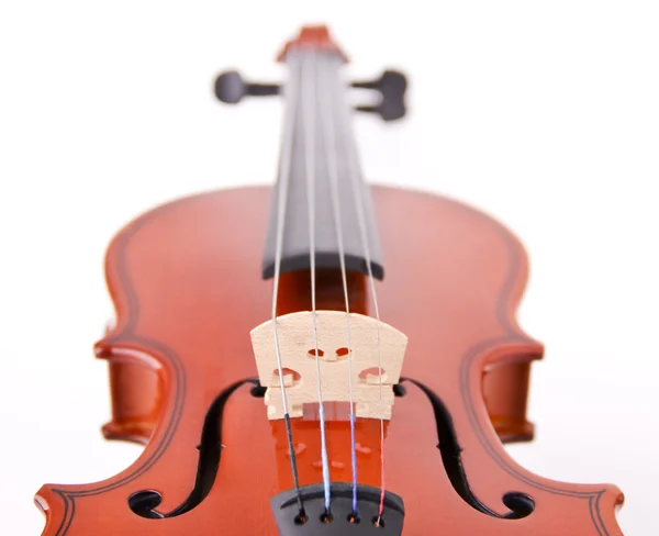 Violino isolato su sfondo bianco — Foto Stock