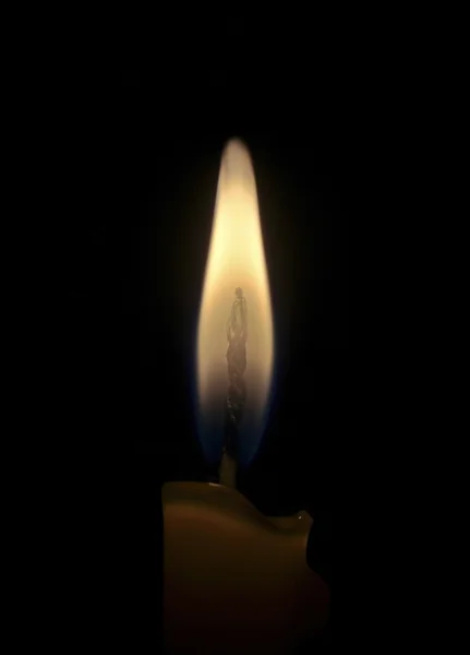 Candle light on the black background