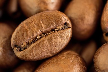 Kahve çekirdekleri ile odak üstünde bir, makro closeup
