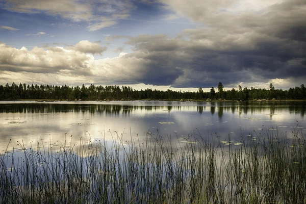 Lago sueco — Foto de Stock
