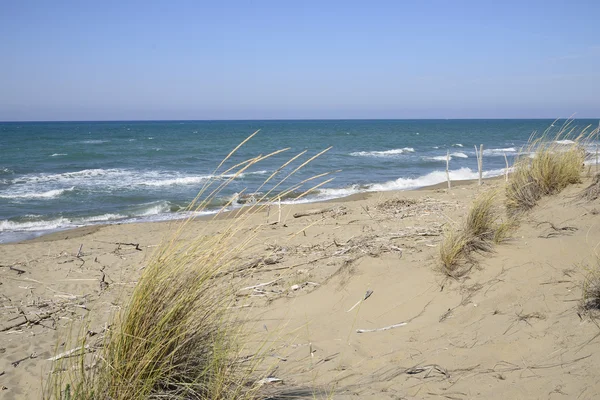 Marina di Alberese Stock Image