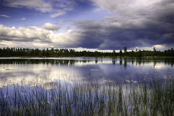 Schwedische Landschaft — Stockfoto