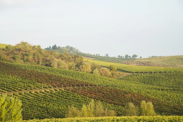 Chianti i höst — Stockfoto