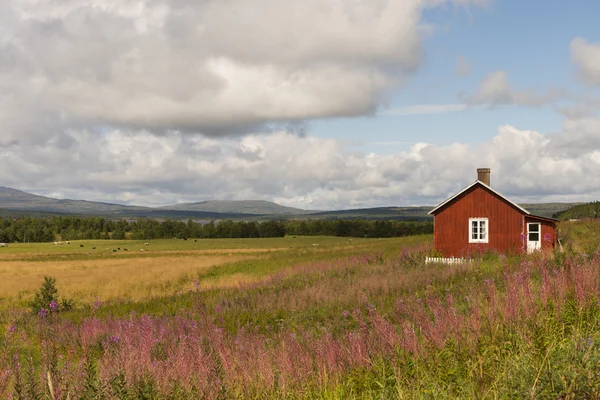 Red Cottage — Stock Photo, Image