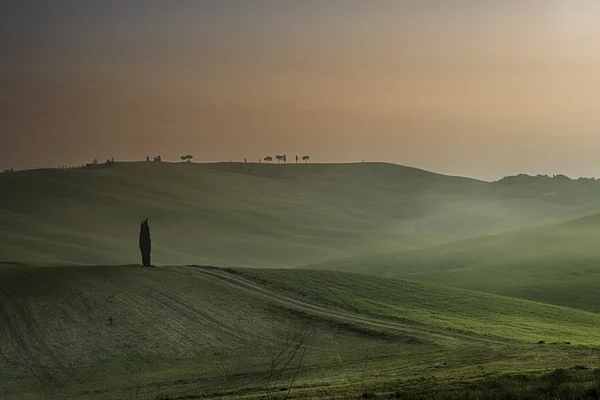 Tuscan Landscape — Stock Photo, Image