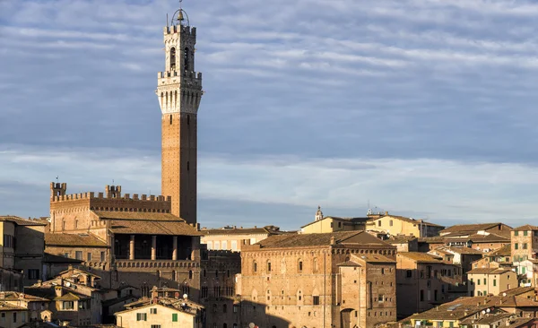 Siena — Stok fotoğraf