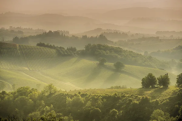Tuscan hills around San Gimignano — Stock Photo, Image