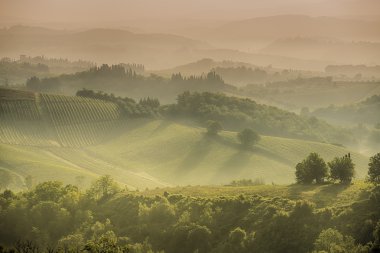 Tuscanhills