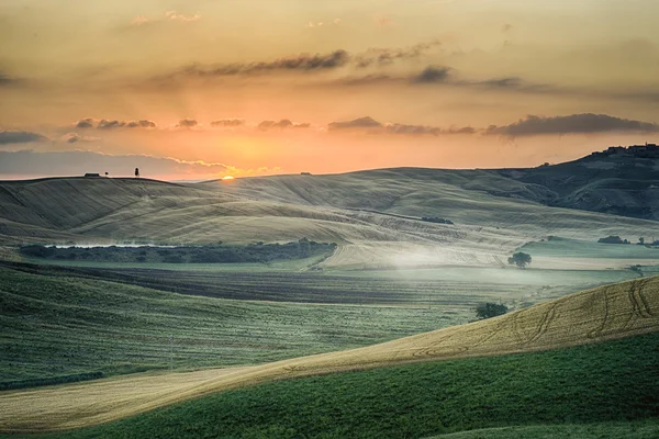 Colline toscane — Foto Stock