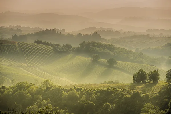 Colline toscane — Foto Stock