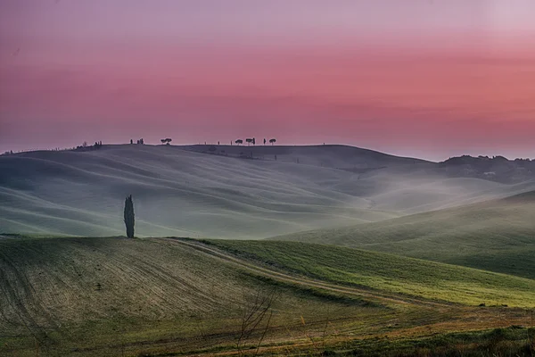 Tuscan landscape with fog — Stock Photo, Image