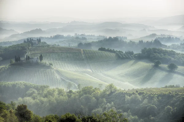 Tuscan hills in Italy — Stock Photo, Image