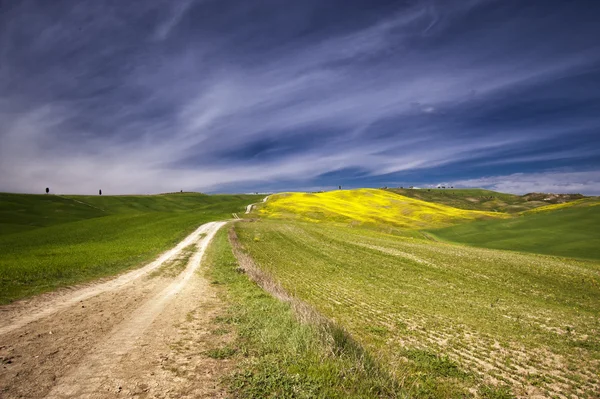 Toskánská krajina — Stock fotografie