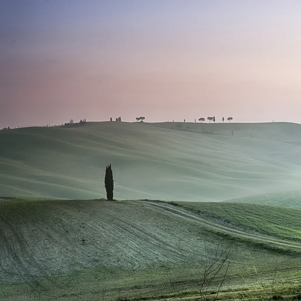 Toskánská krajina — Stock fotografie