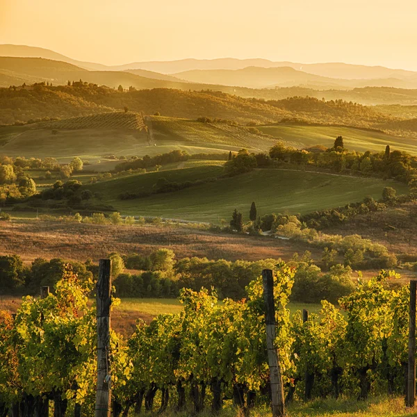 Por do sol em chianti — Fotografia de Stock