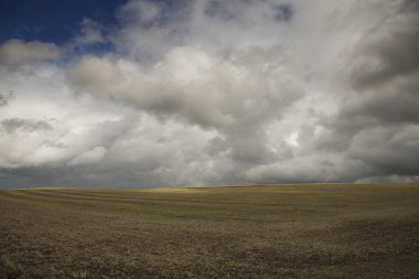 Ülkenin peyzaj (Fransa)