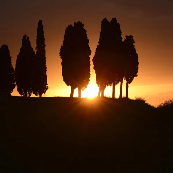 Sonnenuntergang in der Toskana — Stockfoto