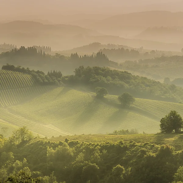 Een brautiful mistige zonstijging over de Toscaanse heuvels rond San Gimignano — Stockfoto