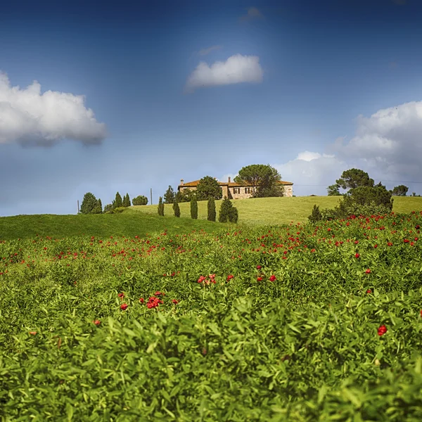 Tuscany krajobraz z typowym wiejskim domu — Zdjęcie stockowe