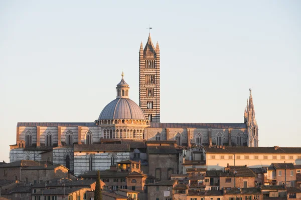 Duomo di Siena — Stockfoto