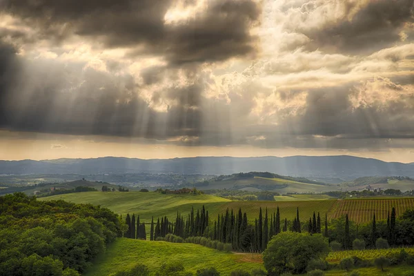 Paisaje rural en Toscana —  Fotos de Stock