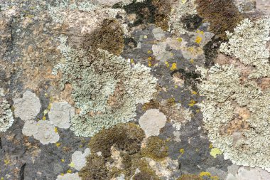 Doğal taş kaplama oluşturma