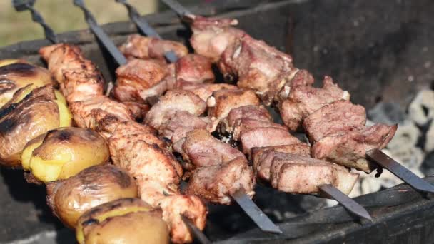 Koken van vlees en aardappelen op de grill — Stockvideo