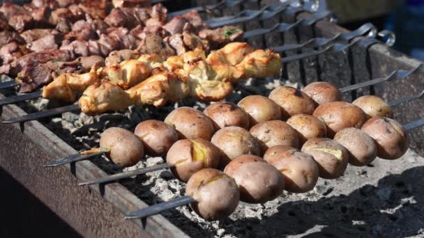 Cocinar la carne y las patatas en la parrilla — Vídeo de stock