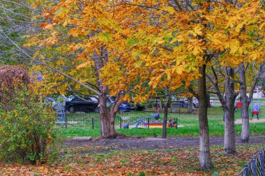 Kentsel sonbahar manzarası. Konut binalarının önündeki parkta sararan ve düşen yapraklar.