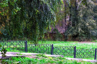 Kentsel sonbahar manzarası. Konut binalarının önündeki parkta sararan ve düşen yapraklar.