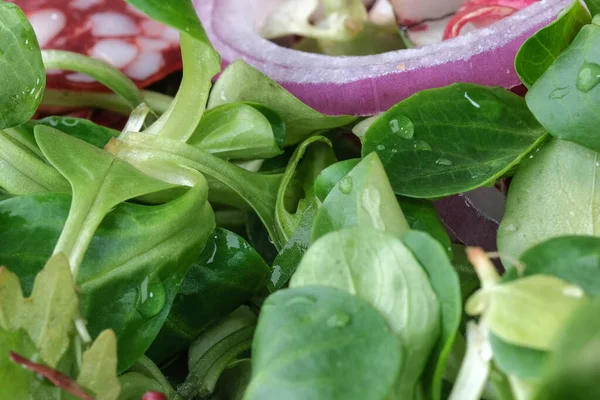 Jovens Primeiros Verdes Folhas Salada Para Lanche Close Macrofotografia — Fotografia de Stock