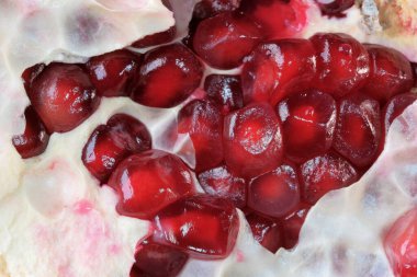 Olgunlaşmış kırmızı, tatlı, soyulmuş nar cam bir vazonun üzerinde yatıyor. Yakın plan makro fotoğraf.