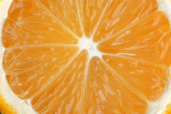 Lemon Sliced Close Citrus Background Macro Photography — Stock Photo, Image