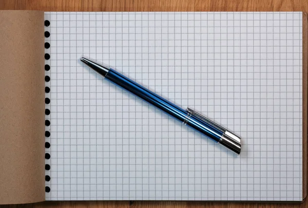 Notlar Için Yırtık Bir Defterden Kağıt Arkaplan Tükenmez Kalemle Yakın — Stok fotoğraf