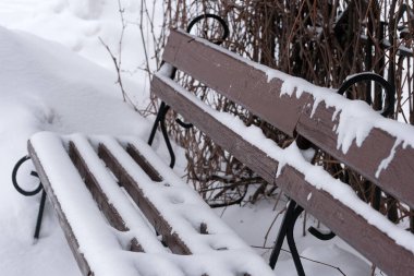 Karlı şehir avlusu, park bankında kapalı bulutlu bir gün