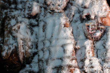 Çikolata kremalı vişneli turta üzerine pudra şekeri serpiştirilmiş, yakın plan makro fotoğraf.