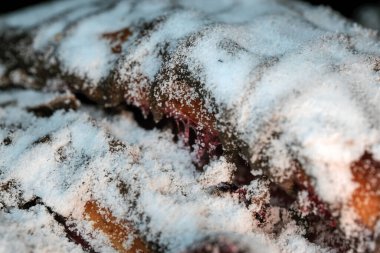 Çikolata kremalı vişneli turta üzerine pudra şekeri serpiştirilmiş, yakın plan makro fotoğraf.