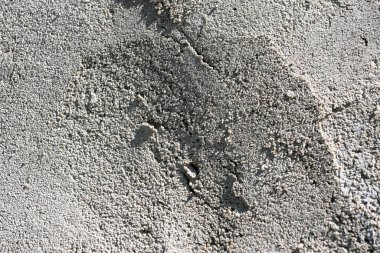 Gri beton sanat arka plan yakın çekim makro fotoğrafçılık